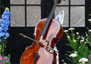 doremusic Akademi