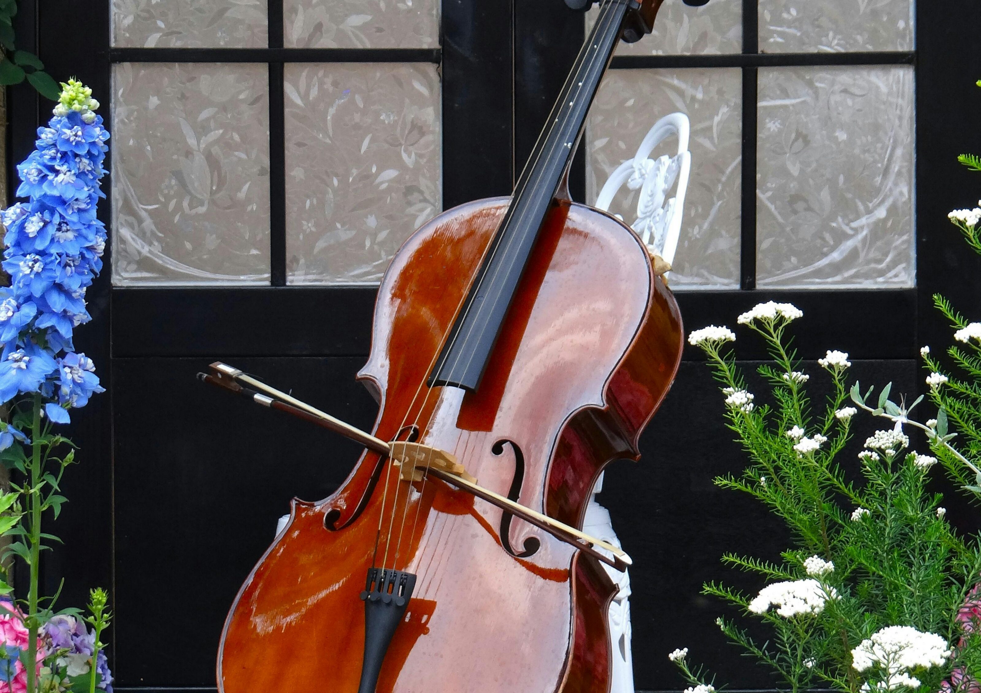 doremusic Akademi